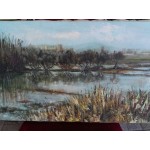 Средна картина масло на платно Испания, стара - 3795